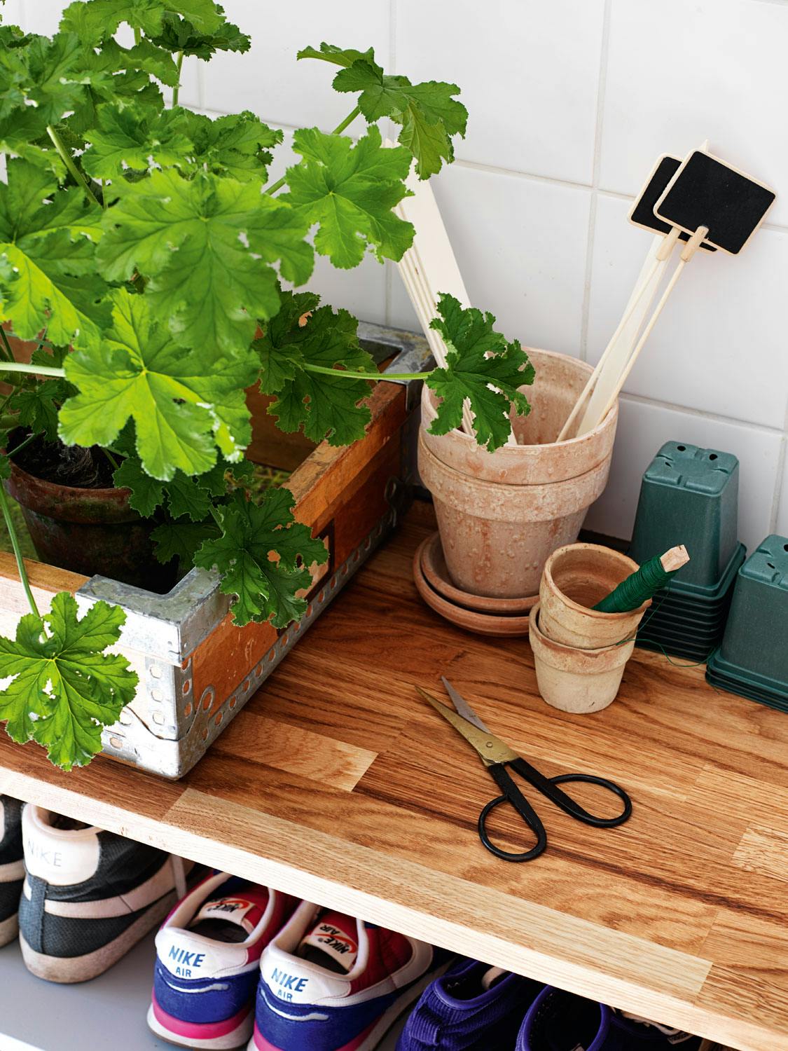 Krok for omplantning En omplantningskrok med planter oppå skohyllen